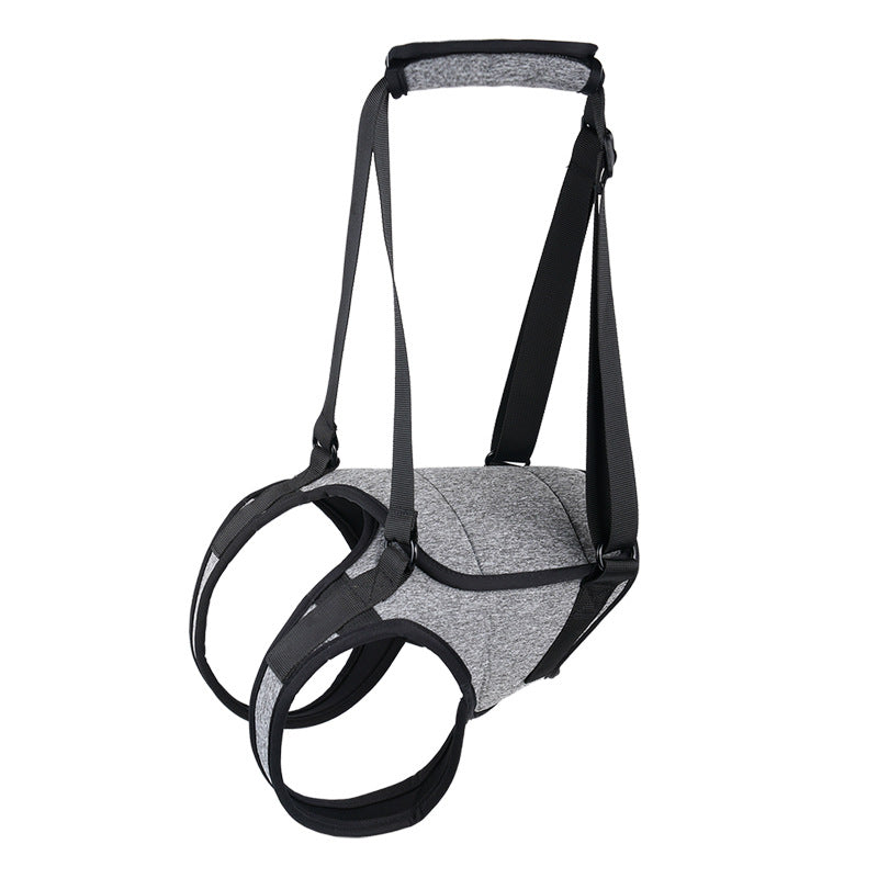The Indoor Mobility Kit — Help Your Senior Dog Walk Confidently on Slippery Floors