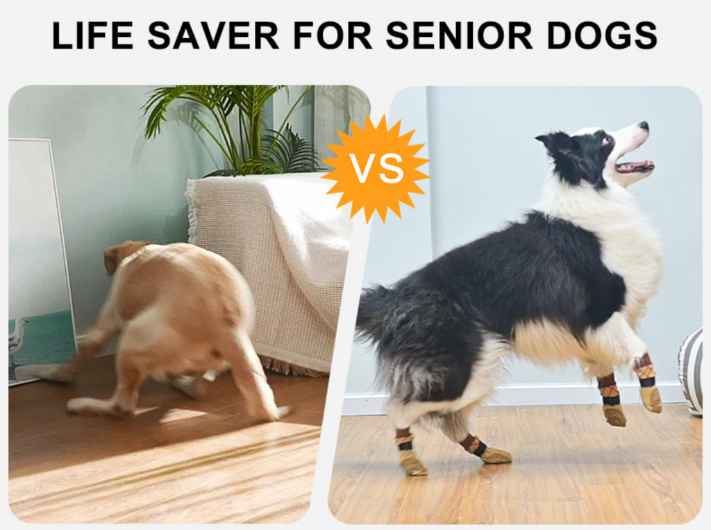Non-Slip Double-Sided Pet Socks Indoor Protective Dog Socks
